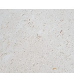 Myra Beige