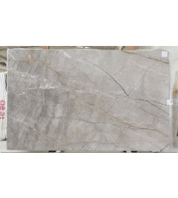 Ancest Silver