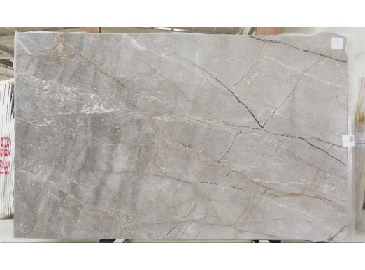 Ancest Silver